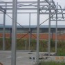 fortex